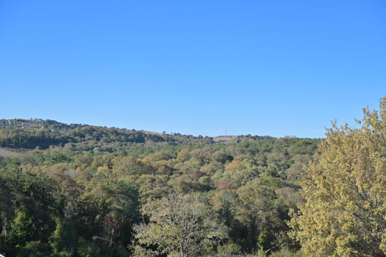 Orman Villa Hotel Is 6 Minutes From The Airport Arnavutkoy Εξωτερικό φωτογραφία